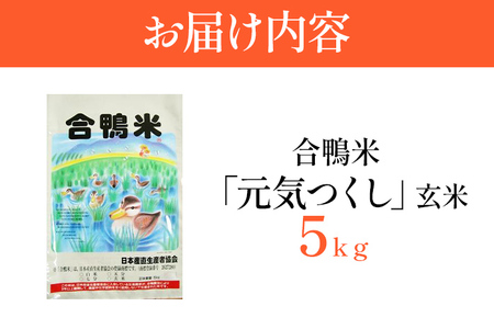 令和8年産 予約 合鴨米「元気つくし」（玄米・5ｋｇ）　BI09