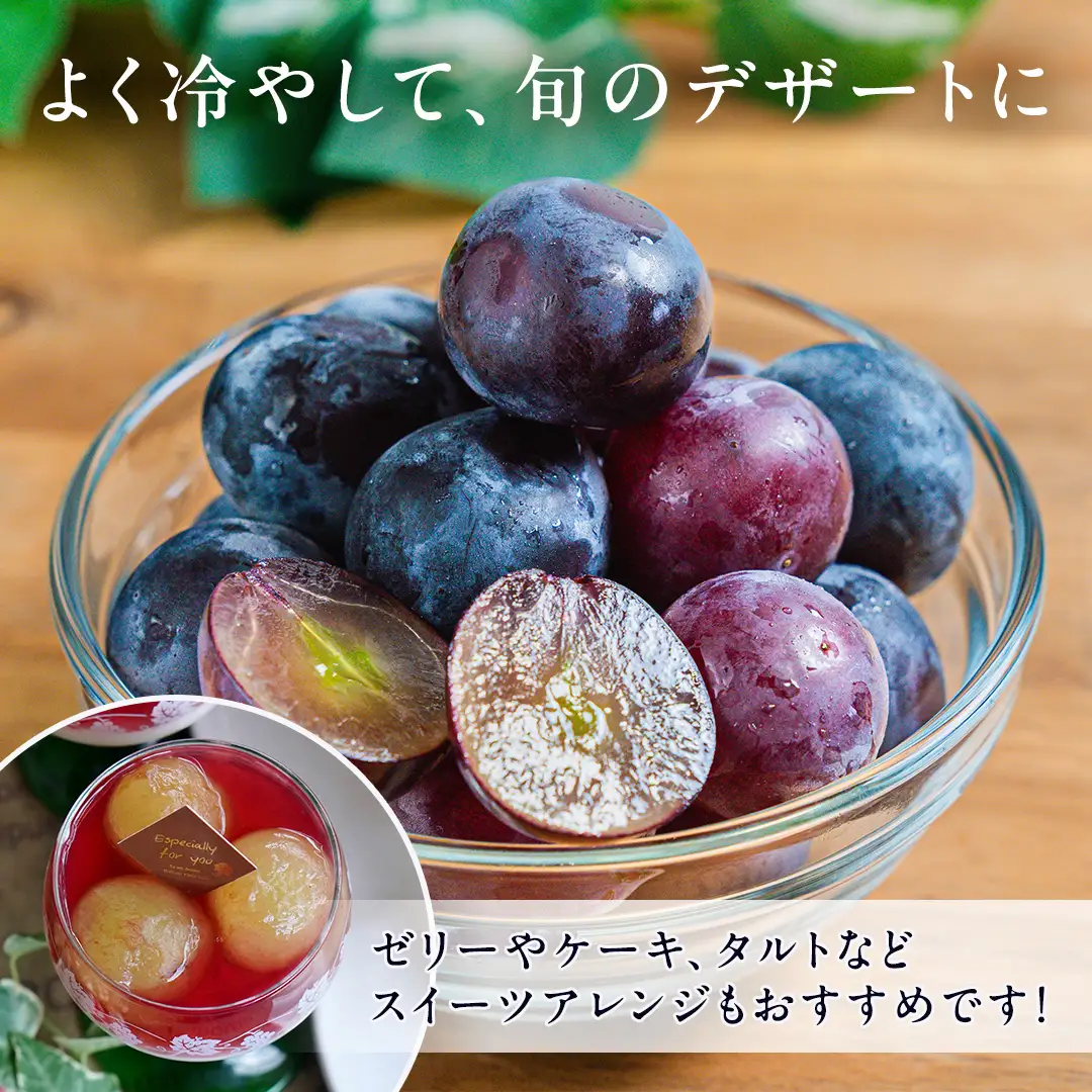 ピオーネ 2房 【2026年8月より発送開始】（茨城県共通返礼品 [ぶどう]：結城市産） ぶどう フルーツ 果物