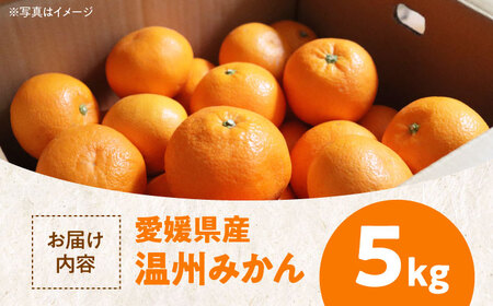 【みかん】温州みかん 5kg（南柑20号）[AGAW001]