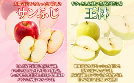 りんご詰合せ サンふじ王林 青森県産 家庭用 りんご詰合せ【約10kg】【3月発送】