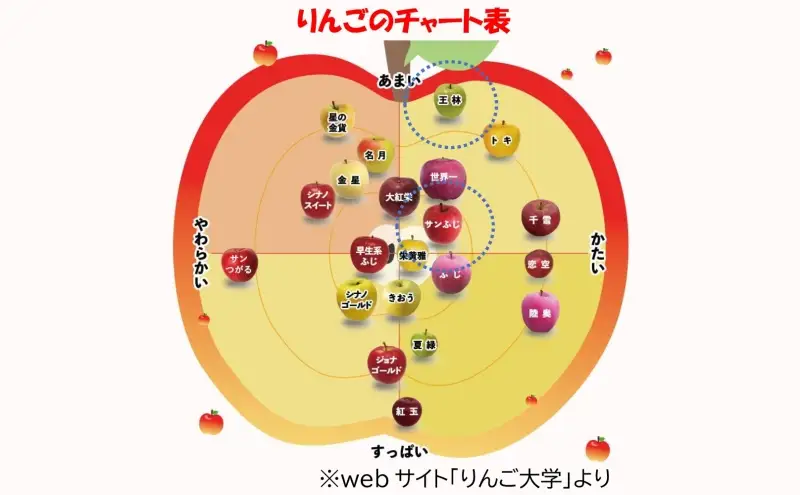 りんご詰合せ サンふじ王林 青森県産 贈答用 りんご詰合せ【約5kg】【2月発送】