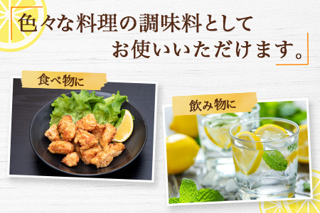 無添加100％国産レモン果汁2本セット A-19
