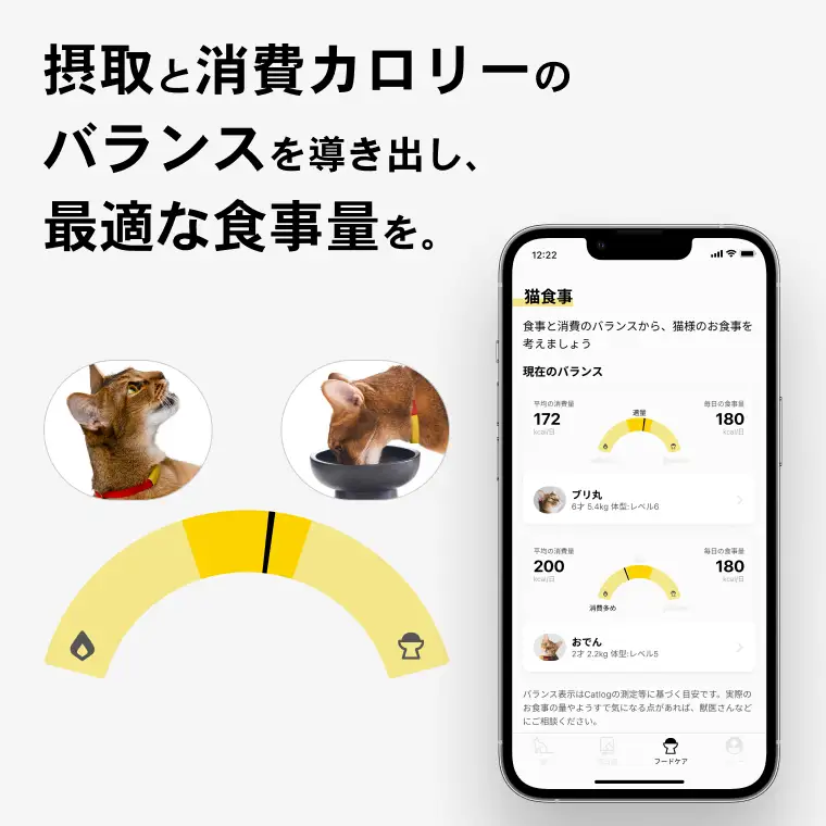 K2122 【1猫様用】Catlog 基本セット