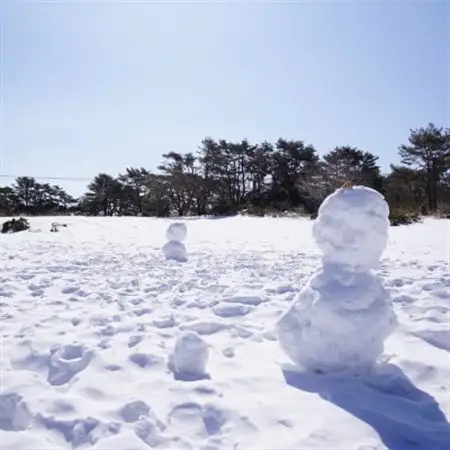 〈峰山高原リゾートホワイトピーク〉　スキー場1日リフト券　1枚【1029970】