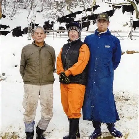 広島産黒毛和牛　「見浦牛」のモモ肉ブロック(315g)【配送不可地域：離島】【1015982】