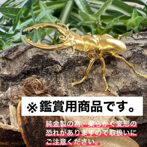 【置物】純金 ゴールド 24金 鋸鍬形（ノコギリクワガタ） ALPBK098 | 純金