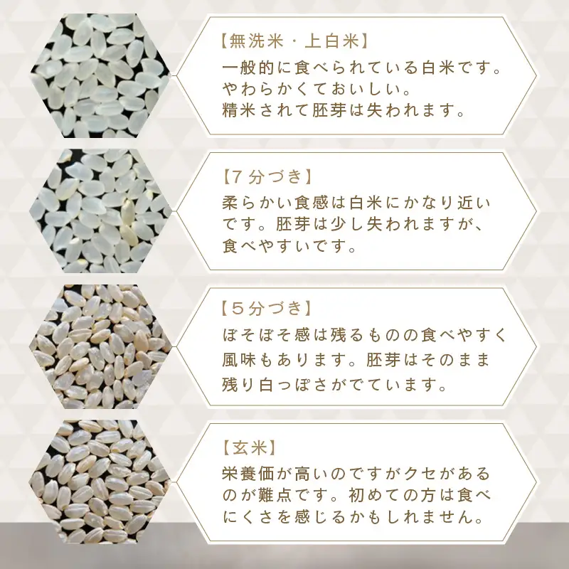 【先行予約】【令和8年産・新米】【6ヶ月連続お届け】二代目が笑顔で育てたコシヒカリ 10kg × 6回 計60kg ～福井県産 生産者直送！～(7分づき) 【2026年10月上旬以降順次発送予定】 [L-0206_02]