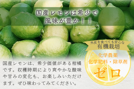 国産 オーガニックレモン 約2.5kg マイヤーレモン レモン 檸檬 B-91