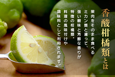  香酸柑橘類詰め合わせ 約５ｋｇ（リスボンレモン・キノス・げんこう・レモン） B-366