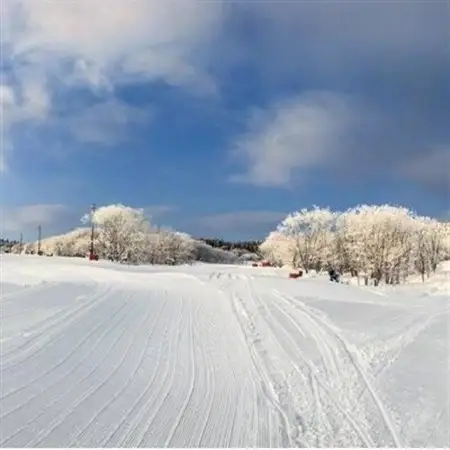 〈峰山高原リゾートホワイトピーク〉　スキー場1日リフト券　2枚【1029968】