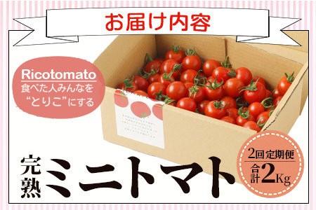 【2回定期便】【先行受付】2027年1月より順次発送予定|完熟ミニトマト 1kg｜ミニトマト トマト プチトマト 農家直送 ギフト 人気 佐賀県鹿島市 たにぐちファーム Ricotomato（リコトマト）～とりこになるトマト～ D-93