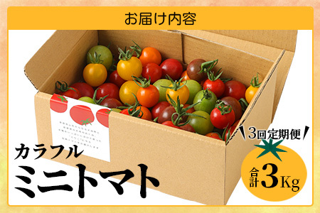【3回定期便】【先行受付】2027年1月より順次発送 カラフルミニトマト6種 1kg ミニトマト プチトマト 定期便 農家直送 たにぐちファーム Ricotomato～とりこになるトマト～ E-58
