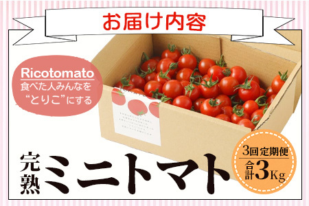 【3回定期便】【先行受付】2027年1月より順次発送予定|完熟ミニトマト 1kg｜ミニトマト トマト プチトマト 農家直送 ギフト 人気 佐賀県鹿島市 たにぐちファーム Ricotomato（リコトマト）～とりこになるトマト～  E-68