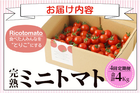 【4回定期便】【先行受付】2027年1月より順次発送予定|完熟ミニトマト 1kg｜ミニトマト トマト プチトマト 農家直送 ギフト 人気 佐賀県鹿島市 たにぐちファーム Ricotomato（リコトマト）～とりこになるトマト～ F-32