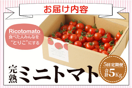 【5回定期便】【先行受付】2027年1月より順次発送予定|完熟ミニトマト 1kg｜ミニトマト トマト プチトマト 農家直送 ギフト 人気 佐賀県鹿島市 たにぐちファーム Ricotomato（リコトマト）～とりこになるトマト～ G-27