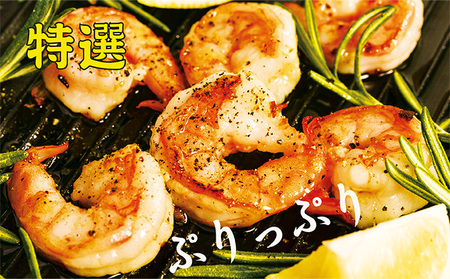 むきえび 特大 800g 約40~45尾 背わたなし むきえび