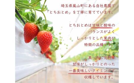 いちごソース特製とちおとめ無添加 埼玉県産 いちごソース【3本】