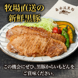 【牧場直送の新鮮黒豚】桑水流黒豚からいもどん特選セット（黒豚 豚肉 豚 肉 お肉 味噌漬け ステーキ）