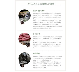 【牧場直送の新鮮黒豚】桑水流黒豚からいもどんロールステーキ＆ミニハンバーグセット（黒豚 豚肉 豚 肉 お肉 ステーキ ハンバーグ）