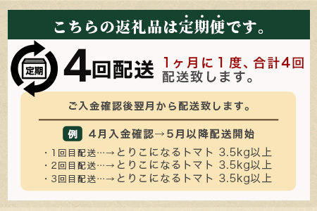 【4回定期便】【先行受付】2026年12月下旬より順次発送予定｜とりこになるトマト 3.5kg以上｜トマト 野菜 農家直送 ギフト 人気｜佐賀県鹿島市｜たにぐちファーム Ricotomato（リコトマト）～とりこになるトマト～ D-160