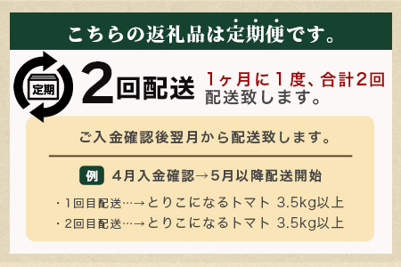 【2回定期便】【先行受付】2026年12月下旬より順次発送予定｜とりこになるトマト 3.5kg以上｜トマト 野菜 農家直送 ギフト 人気 佐賀県鹿島市 たにぐちファーム Ricotomato（リコトマト）～とりこになるトマト～ B-508