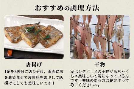 【下処理済で簡単調理】有明海産 シタビラメ約150g×2尾【合計約300g】煮つけ・唐揚げにおススメ【脂ののって美味しい】鮮度抜群 A-154