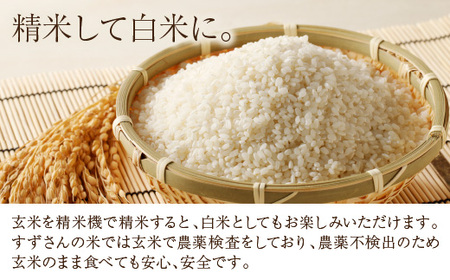 R8年産 米 ミルキークイーン 30kg 玄米【9/20以降収穫でき次第順次発送】