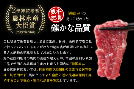 純国産馬刺し＆馬肉料理福袋 計1kg 熊本肥育 2年連続農林水産大臣賞受賞《90日以内に出荷予定(土日祝除く)》 送料無料 馬刺し 馬肉 上赤身 馬肉 ソーセージ ハンバーグ 馬とろ コーネ たてがみ 熊本県 葦北郡 津奈木町 st-p