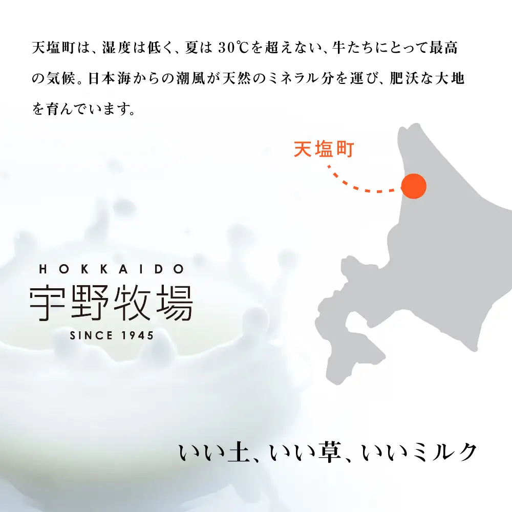 トロケッテ・ウーノ プレーン＆いちご 合計6個