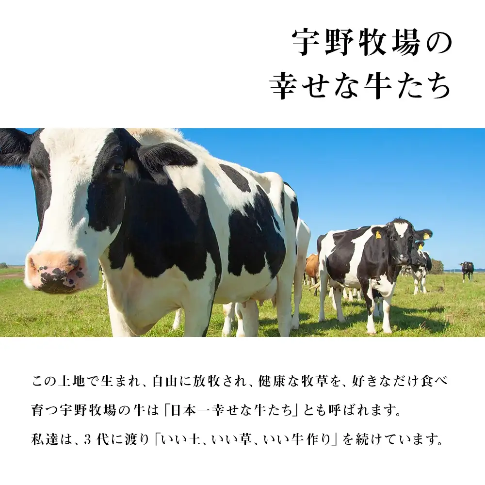 オーガニック ドリンク ヨーグルト 200g×6本