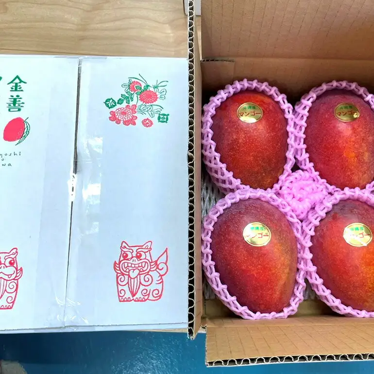 【 先行予約 2026年 発送 】 かねよしマンゴーの甘くとろける マンゴー 1.5kg ( 贈答用 ) 沖縄県産 アップルマンゴー アーウィンマンゴー 国産 果物 くだもの フルーツ 完熟 沖縄 お取り寄せ ギフト 贈答品 贈り物 産地直送 農家直送 糸満市 93-4