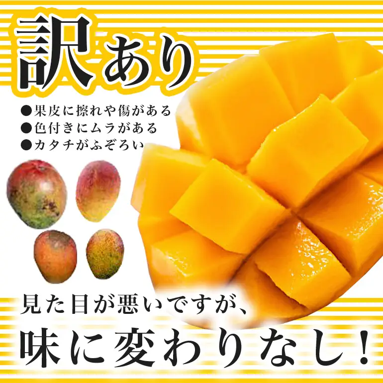 【 先行予約 2027年 発送 】 訳あり 沖縄県 糸満産 かねよし マンゴー アーウィンマンゴー 1.5kg 訳アリ 訳あり品 沖縄県産 アップルマンゴー 国産 完熟マンゴー 果物 くだもの フルーツ 完熟 夏 特産品 沖縄 産地直送 農家直送 甘い 濃厚 糸満市 93-7