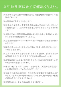 【2026年発送】【期間限定】八ヶ岳南麓の天然水で育てたシャインマスカット 900g（2～3房)  [h198]