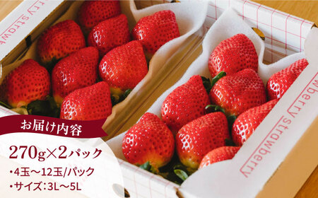 完熟あまおう 270g × 2パック【先行受付】【2027年1月以降順次発送】 糸島市 / slowberry strawberry [APJ002] 苺 あまおう イチゴ