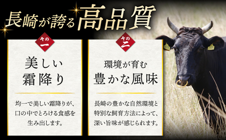 長崎和牛 イチボステーキ 計450g 訳あり CAG041 ステーキ