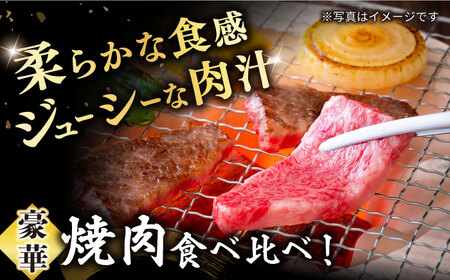 6回定期便 長崎和牛 焼肉 2種 計600g  訳あり CAG209 焼肉