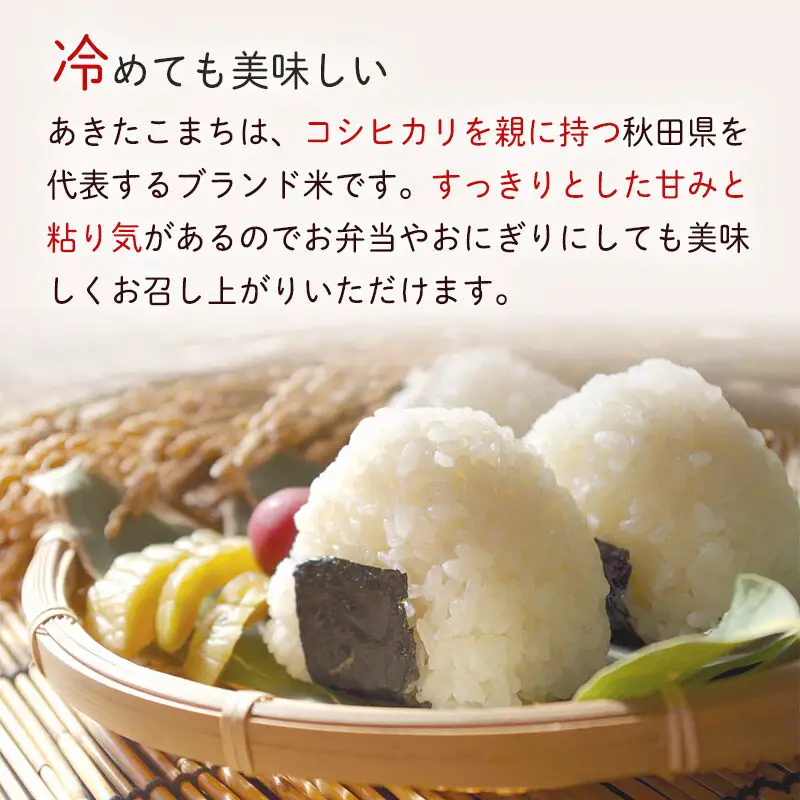 令和7年産 秋田県産 あきたこまち 5kg×1袋 あきた美郷づくり