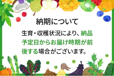 朝採り！夏野菜詰め合わせセット 4kg (トマト きゅうり なす 枝豆)