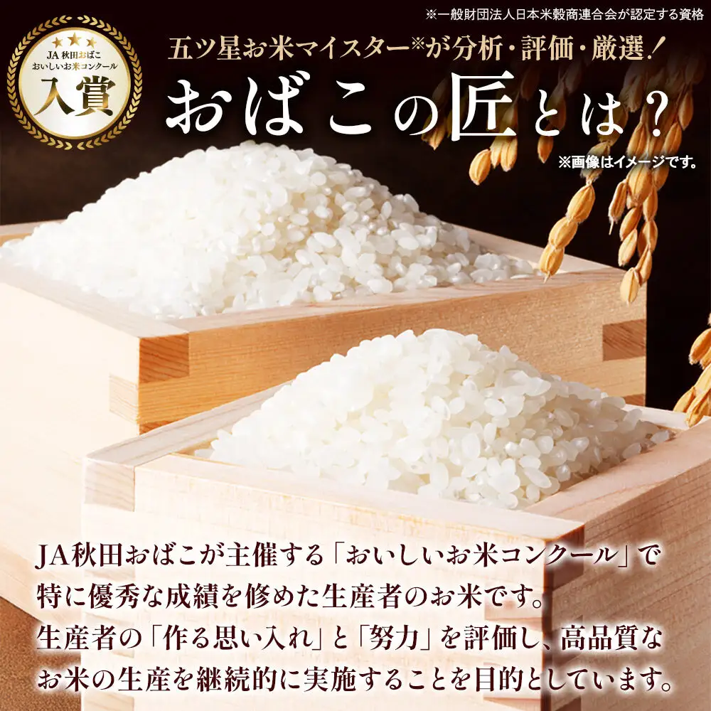 令和7年産 おばこの匠 秋田県産あきたこまち 5kg（白米）5kg袋 秋田こまち お米