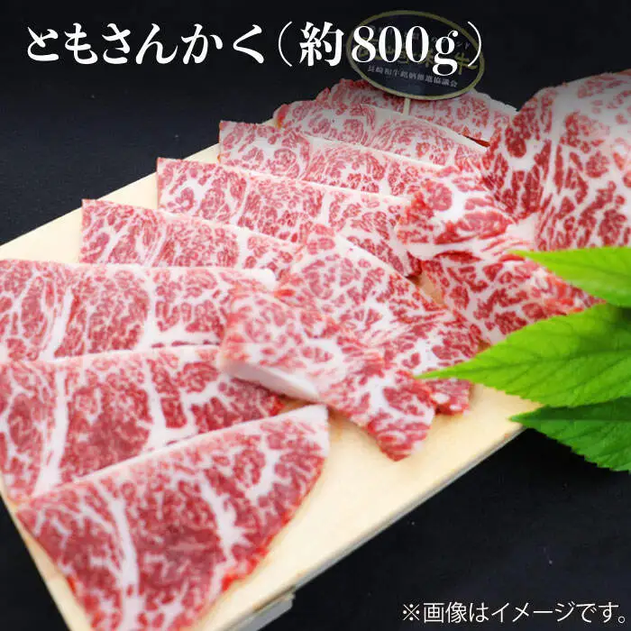 【焼肉大会】【12回定期便】長崎和牛 焼肉用部位×12回定期便＜株式会社 黒牛＞ [CBA049]