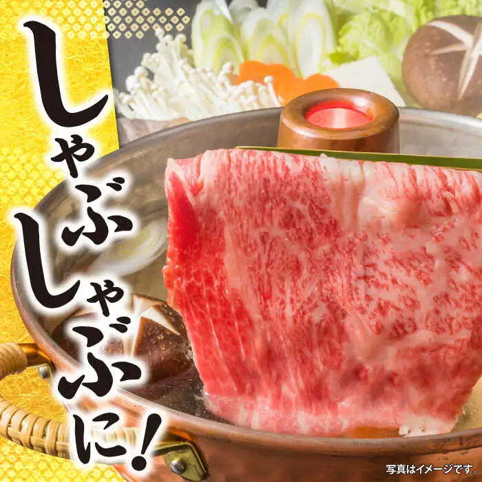 3回定期便 長崎和牛 すき焼き リブロース 500g CBA073 すき焼き 和牛 スライス