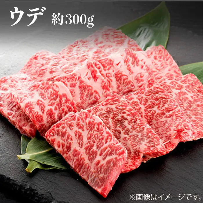 【6回定期便】長崎和牛 赤身 焼肉（モモ・ウデ）食べ比べ ＜株式会社 黒牛＞ [CBA116]