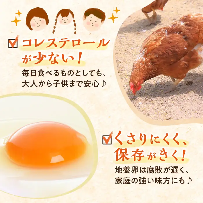 12回定期便 卵 Lサイズ 40個 | CBB004 卵