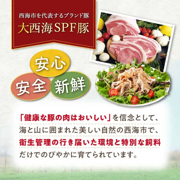 12回定期便 大西海SPF 豚 背ロース しゃぶしゃぶ 計1.2kg 訳あり ＜大西海ファーム＞ [CEK127] しゃぶしゃぶ