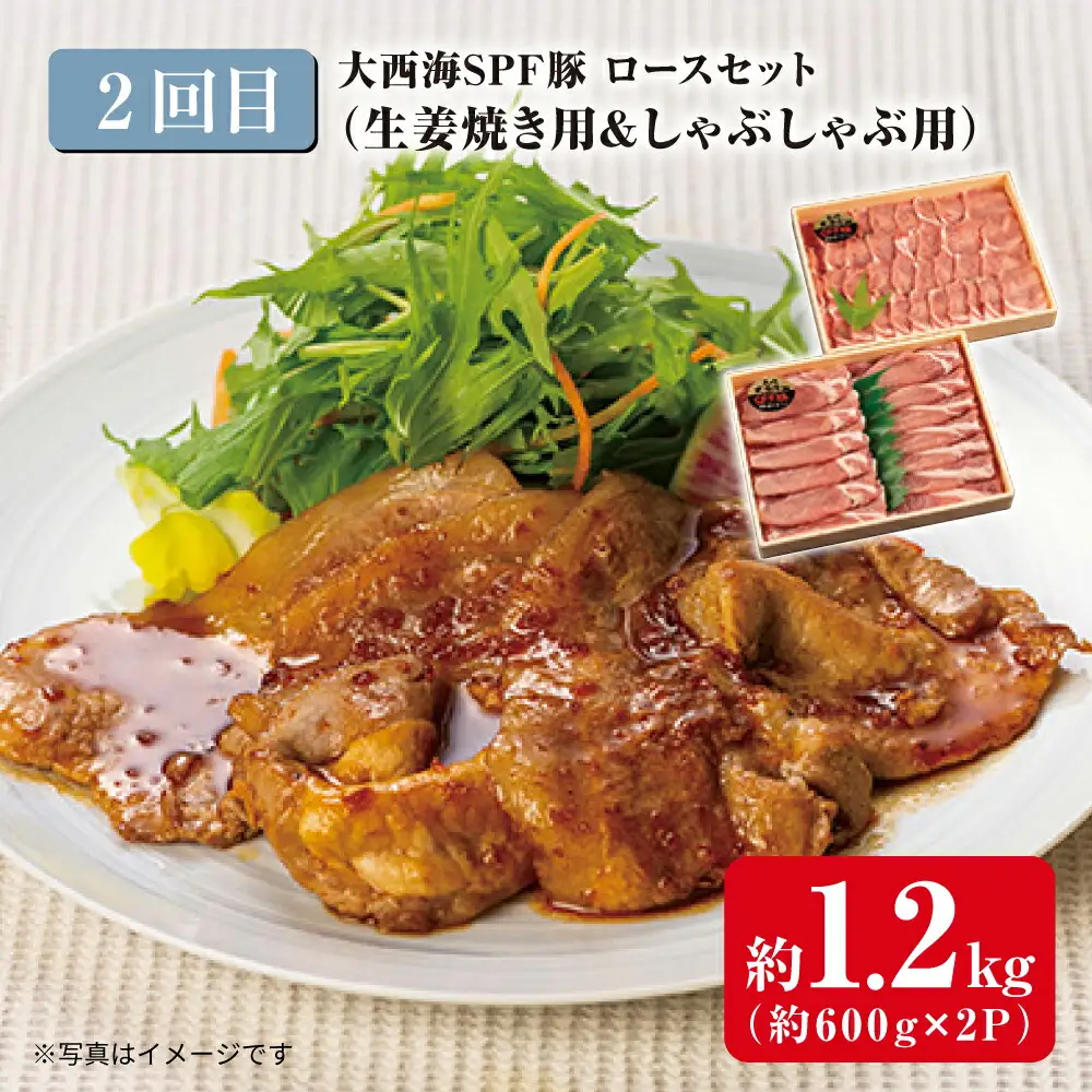 3回定期便 大西海SPF豚 便利 3種セット 総計4.2kg 訳あり ＜大西海ファーム＞ [CEK182] 定期便