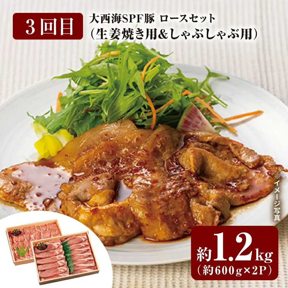 【スタメン揃い！】【6回定期便】 長崎和牛 大西海SPF豚 定期便  訳あり ＜大西海ファーム＞ [CEK185]