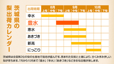 梨 豊水 約10kg 20～32個【2026年9月より発送開始】（茨城県共通返礼品 [梨]：大子町産）