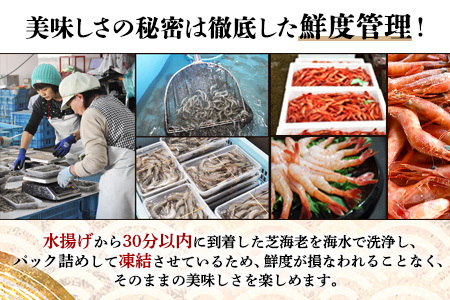 《受付再開》冷凍えびセット(芝えび500g・むき甘えび20尾）　A-143
