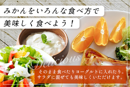 先行受付＼農家直送＆鮮度抜群！／収穫後3日以内発送・松本農園の温州みかん 約5kg 有明海の潮風で育った鹿島産みかん｜フレッシュ｜佐賀県鹿島市 送料無料 B-530
