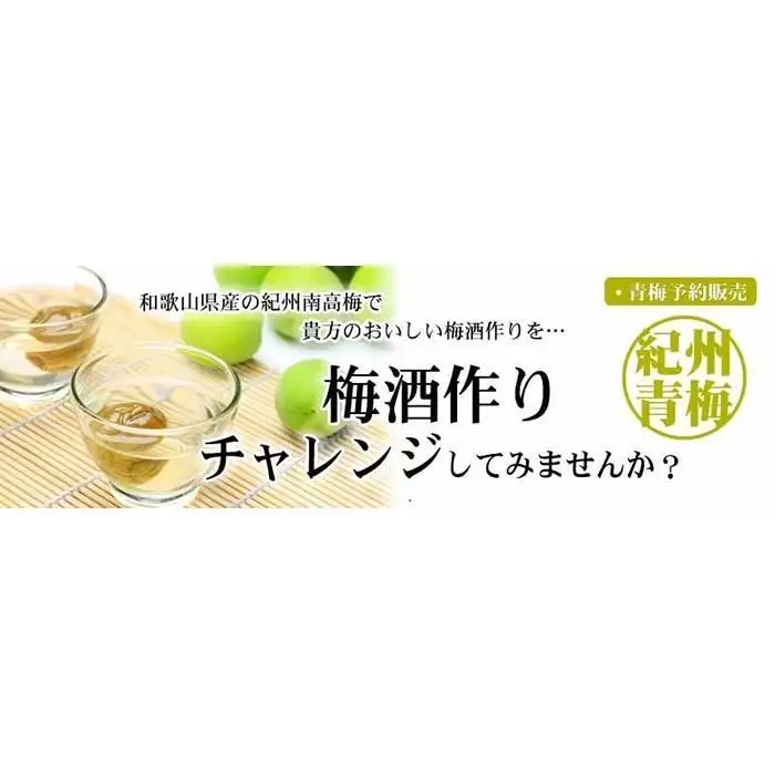 南高梅【緑】3kg 大サイズ 梅酒用 フレッシュ青梅 (生梅) ／紀伊国屋文左衛門本舗